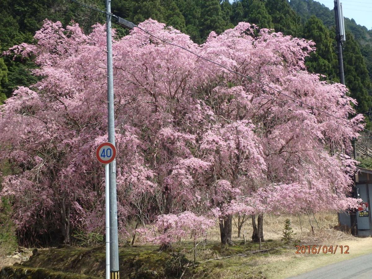 京の宿 西大路 Familie Kyoto Buitenkant foto