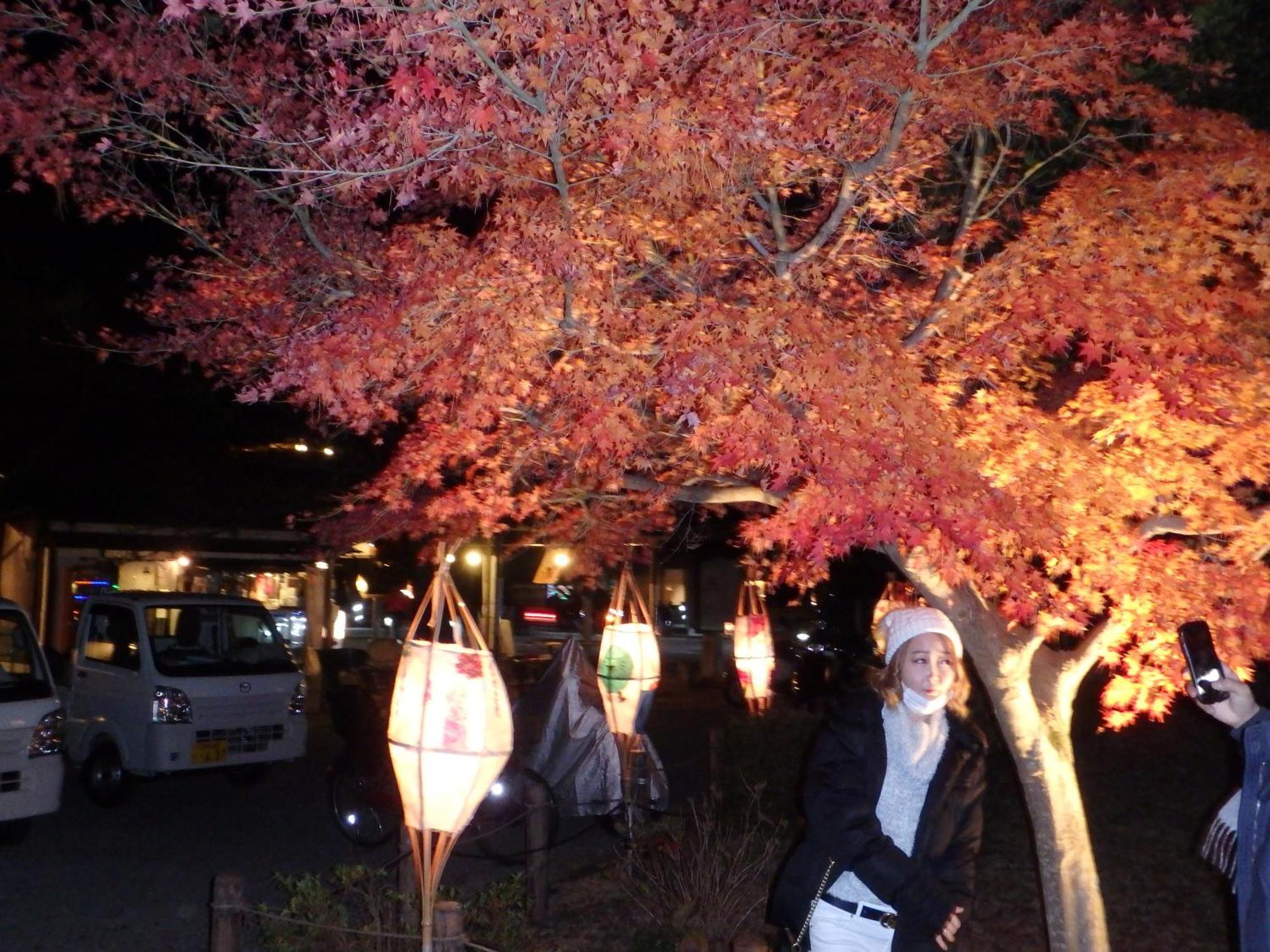 京の宿 西大路 Familie Kyoto Buitenkant foto