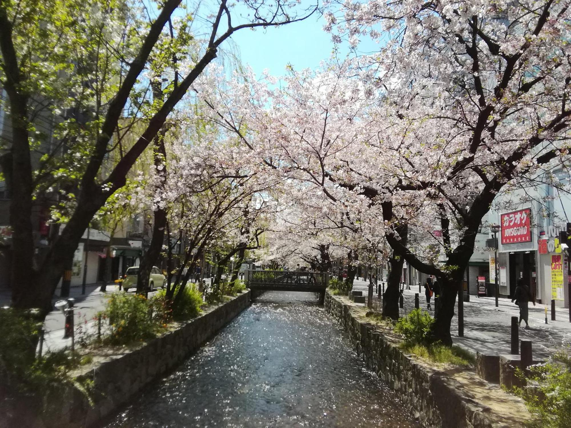 京の宿 西大路 Familie Kyoto Buitenkant foto
